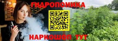 mdpv Заводоуковск