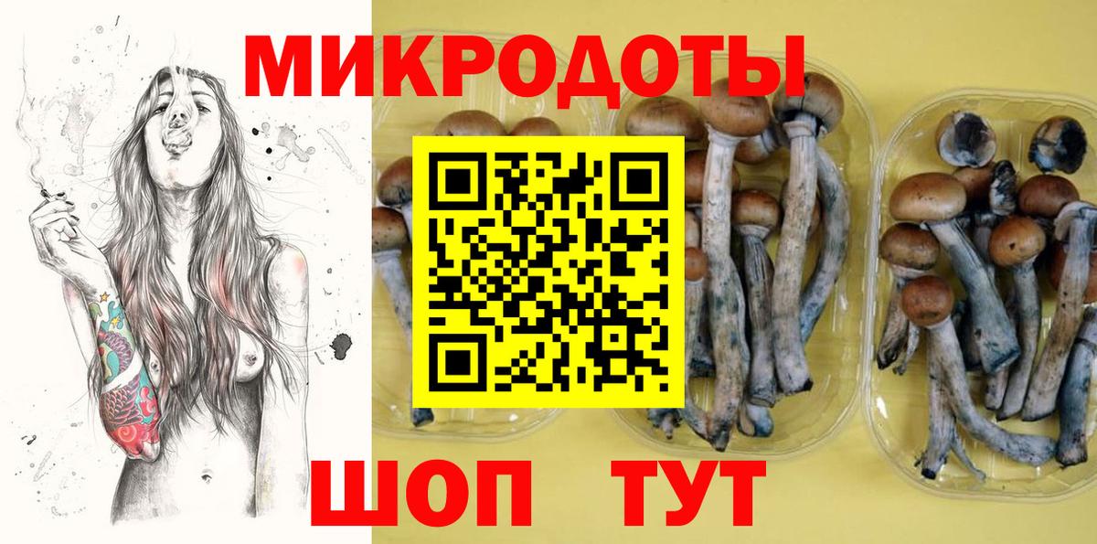 Галлюциногенные грибы мицелий Шадринск